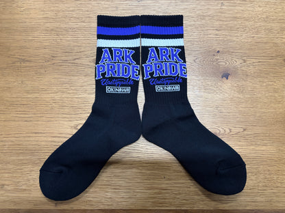 【No23】ARK ORIGINAL COLOR SOX(Purple x White)